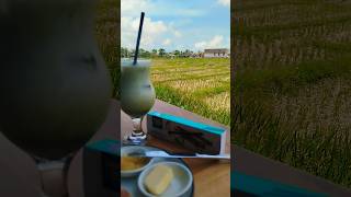 Matcha Latte 😍 with #views #matcha #latte #coffee #travel #bali #indonesia #peace #morning #field