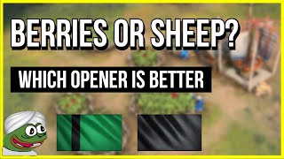 AOE4 | Berries Or Sheep For Delhi and Abbasid? | Build Order & Discussion