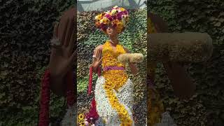 Fleurs De Villes:Pride The Royal Botanic Garden Sydney #viral  #shorts #shortsviral  #flowers