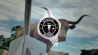 Pedro Paulo e Alex - Nossa Preferida Sertaneja (STATUS RODEO) Sertanejo bruto