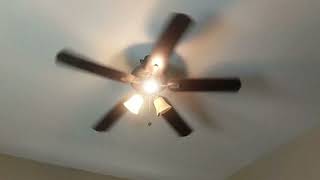 Ceiling Fan Sightings 4