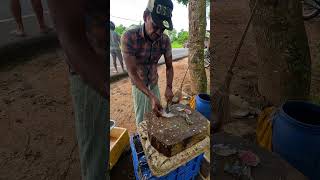 Amazing Village Street Fish Market Tilpia Fish Cutting