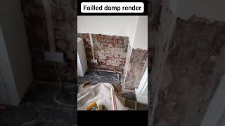 Failed damp in render