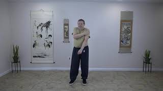 Medical Qigong:  Spine and Joint Qigong Review