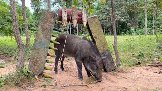 Making rudimentary traps to trap wild boar #wildanimal #wildpig #shortvideo