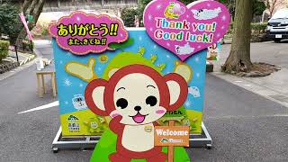 Riding the Takashaki monkey park monorail! Monkey spotting! (raw footage)