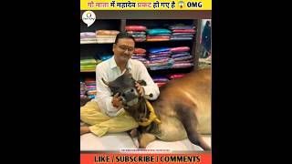 गौ माता का सच्चा प्यार 😱 #shorts #youtubeshorts #fact #shortsviral #2023 #viral