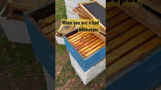 Bad Beekeeping at its best! #shorts