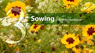 Step 3. Sowing your flower meadow