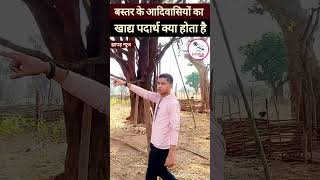 बस्तर के आदिवासियों का खाद्य पदार्थ। bastar lifestyle