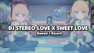 DJ STEREO LOVE X SWEET LOVE (Slowed + Reverb) 🎧