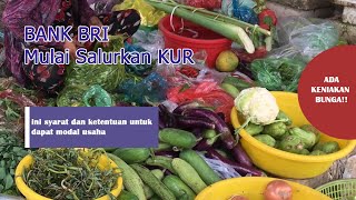 KUR BRI  2023 Syarat pengajuan dan bunga kredit