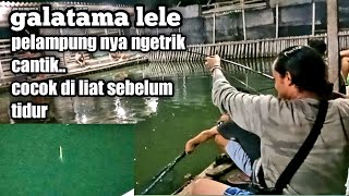 galatama lele||pelampung ngetrik cantik..tontonan sebelum tidur