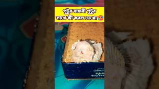 পুটুর বান্ধবী পুটুর সাথে এটা কী করল দেখো🥵😂#viralvideo#funny#youtubeshorts#comedy#shorts#subscribers