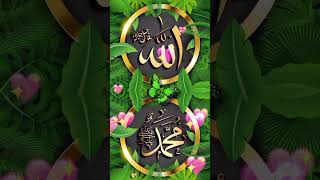 The name of Allah & Muhammad is so beautiful #trending #youtube #youtubeshorts #viralvideo #shorts