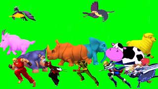 animal stampede green screen || green screen animals || green screen animals stampede | green screen