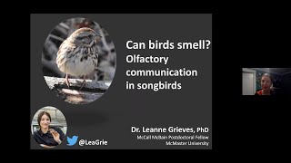 Can Birds Smell? with Leanne Grieves | 15 March 2021