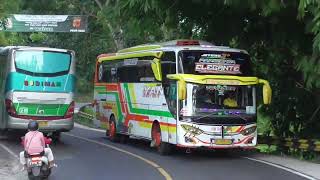 ARTIS BUS TELOLET MODUL BARU MS9 REMIX N'TRET N'TRET