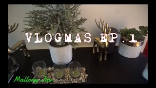 VLOGMAS EP. 1 | Beginning to Look ALOT Like Christmas!