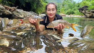 How to pump water without using electricity - Harvest pond fish to sell - Cooking | Ly Thi Tam