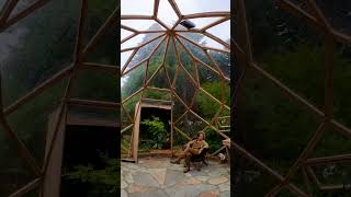 Rainy day vibes in the crystal zome greenhouse