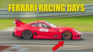 Ferrari FXX and 599XX Evolution PURE V12 SOUND! FLY BY, CRAZY Downshifts and GLOWING BRAKES!