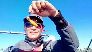 mancing ikan kerapu dengan umpan buatan sendiri -  fishing test  ( @Adonara_Angler )