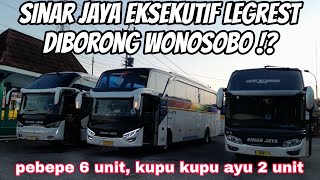 Sinar Jaya Eksekutif Legrest Habis Oleh Penumpang Wonosobo⁉️ PEBEPE 6 Unit, KKA 2 Unit Start Mendolo