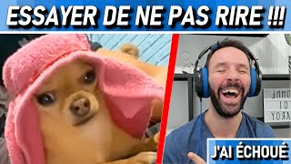 UN CHIEN TROP DROLE ET UN PET INCONTROLE ?