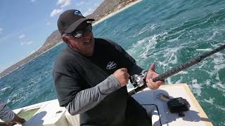 Angler Chronicles on Roosterfish