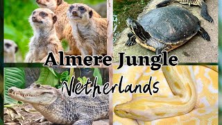 Almere Jungle - Recreational Jungle, Adopt Animals, Netherlands