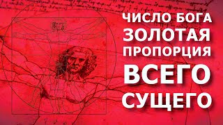 Число Бога. Золотая пропорция и божественное начало всего сущего - числа Фибоначчи.