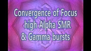 Binaural Beats, Tribal Break Beat, Isochronic SMR & Gamma FX: Convergence of Focus