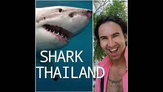 2021 Sharks in Thailand  акулы в Таиланде