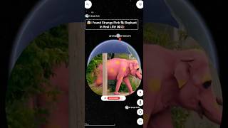 giant  Strange Pink🦣Elephant in Real Life! on google earth map🌎zooming short video🤯#shorts #ytshorts