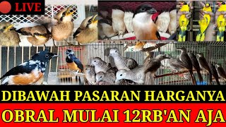 🔴 OBRAL BIAR SEMUANYA PUNYA ! MURAI,PODANG,PENTET,KACER,SRDC,WAMBI,CUNGKOK,POKSAY,TEUMI,TRUCUK DLL