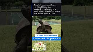 Jonathan, the oldest tortoise in the world has turned 190 years old