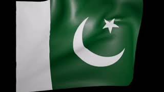 Pakistani Flag Shorts Status Video #PakistanZindabad