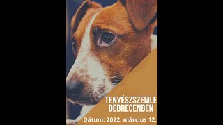 2022.03.12. KMEE Tenyészszemle Debrecenben