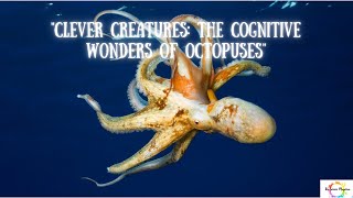 "Clever Creatures: The Cognitive Wonders of Octopuses" #sciencefacts #science #weirdanimals