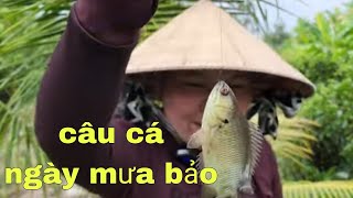 câu cá ngay ngày mưa bảo - Go fishing on a rainy day | Mỹ miền tây vlog