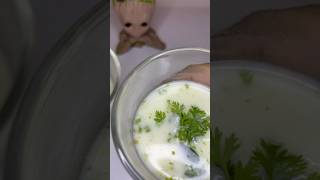 మసాలా మజ్జిగ #buttermilk #masalamajjiga #simplerecipes #indianfood #cookingmadeeasy #india #simple