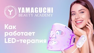 Как работает LED-терапия? Yamaguchi LED Light Therapy Mask | Бьюти-Академия YAMAGUCHI