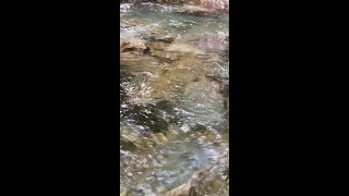 Healing Mountain Stream_yamaguchi〜癒しの渓流_ver3〜