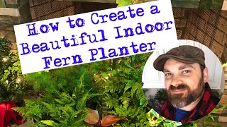 🌿🌿🌿How to Create a Beautiful Indoor Fern Planter!🌿🌿🌿