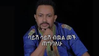 Gossaye Tesfaye - Serk Addis (lyrics) | ጎሳዬ ተስፋዬ - ሰርክ አዲስ