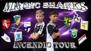 FC Brugg SHARKS Das Team 2016/2017