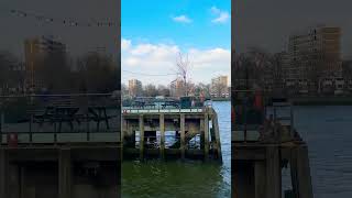 Thames view from Battersea #battersea #riverthames #londonviews #iconiclondon