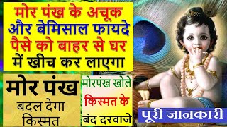 Vastu Tips: मोर पंख के कई चमत्कारिक फायदे | मोर पंख से किस प्रकार के उपाय किए जाते? Peacock Feather