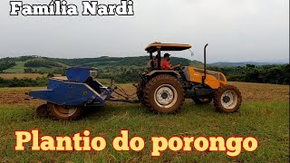 Fazendo o plantio da lavoura de porongo.